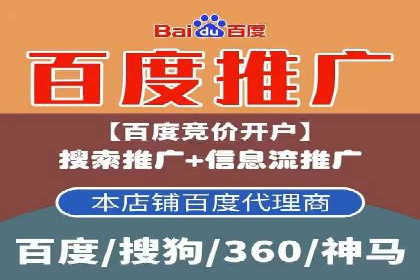 SEM外包策略在电商平台的成功案例
